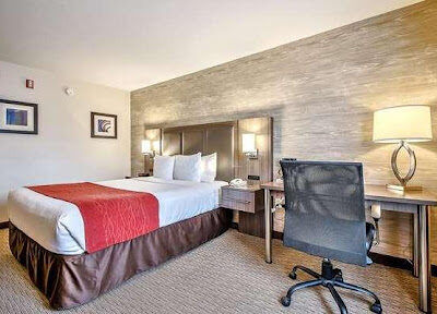 Comfort Inn & Suites South